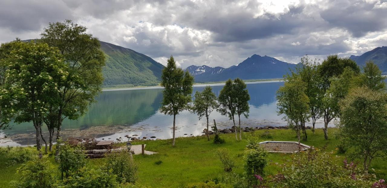 Chalet Lykkebo, Skjoldehamnveien 1151, Nygard, Andoy