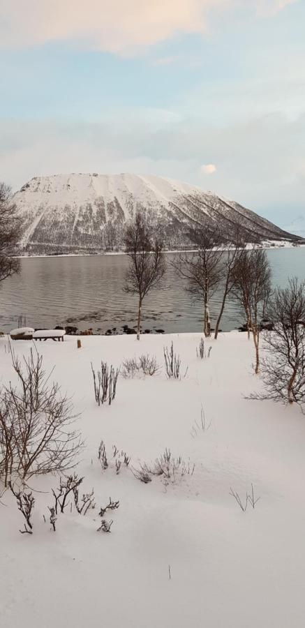 Lykkebo, Skjoldehamnveien 1151, Nygård, Andøya Chaleter Risoyhamn