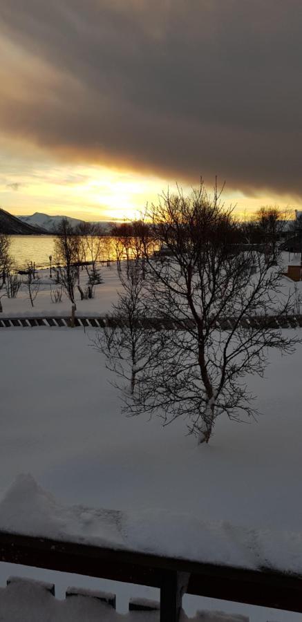 Lykkebo, Skjoldehamnveien 1151, Nygard, Andoy Chalet