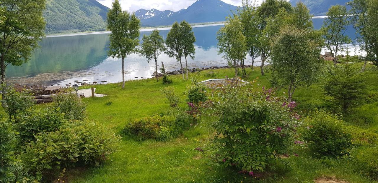 Chaleter Lykkebo, Skjoldehamnveien 1151, Nygård, Andøya Risoyhamn