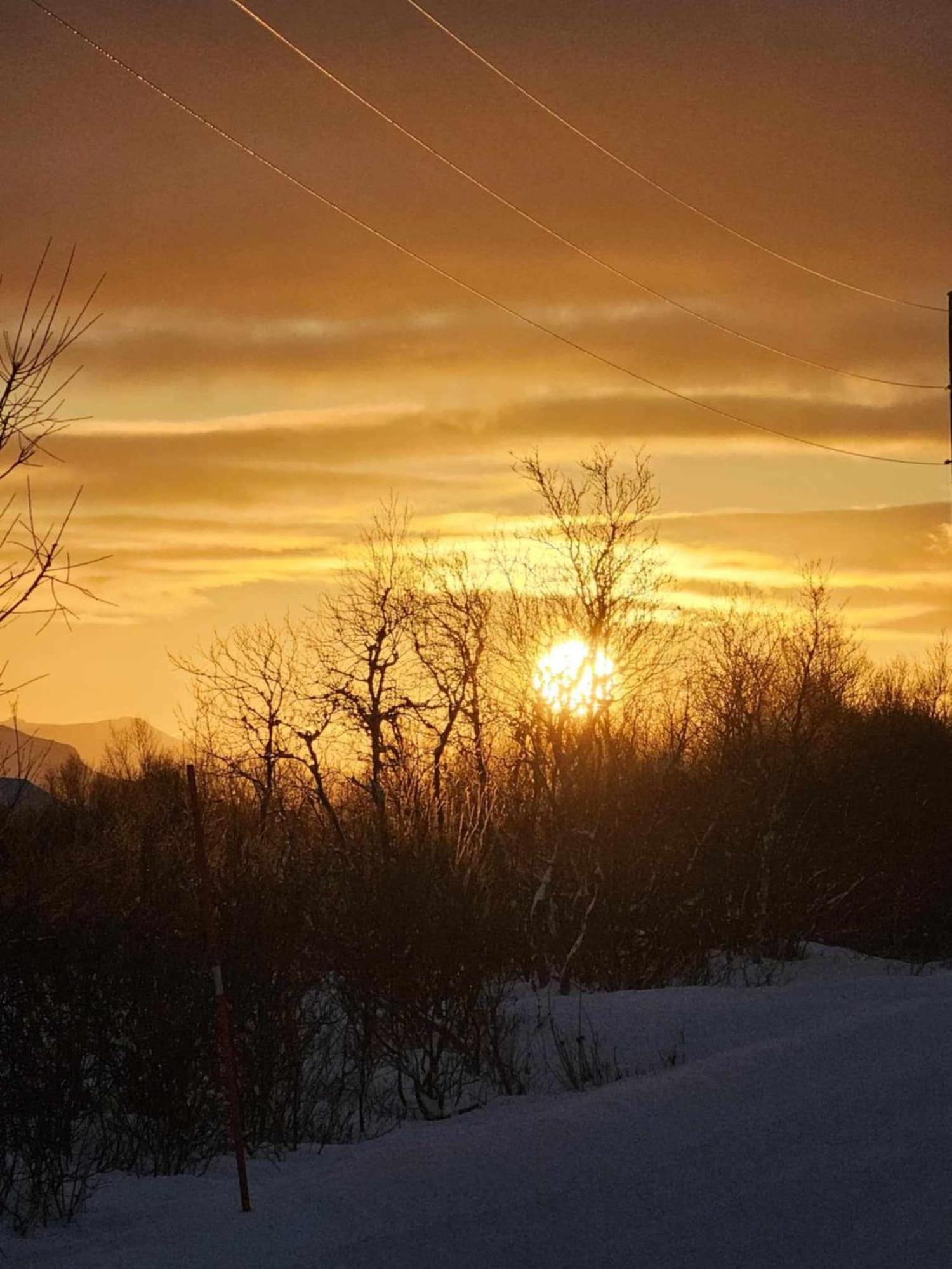 Lykkebo, Skjoldehamnveien 1151, Nygård, Andøya Chaleter Risoyhamn